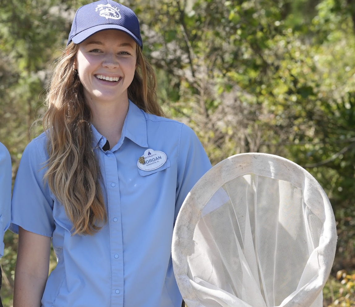 Fluttering Through the Magic: A Butterfly’s Day at Disney! 